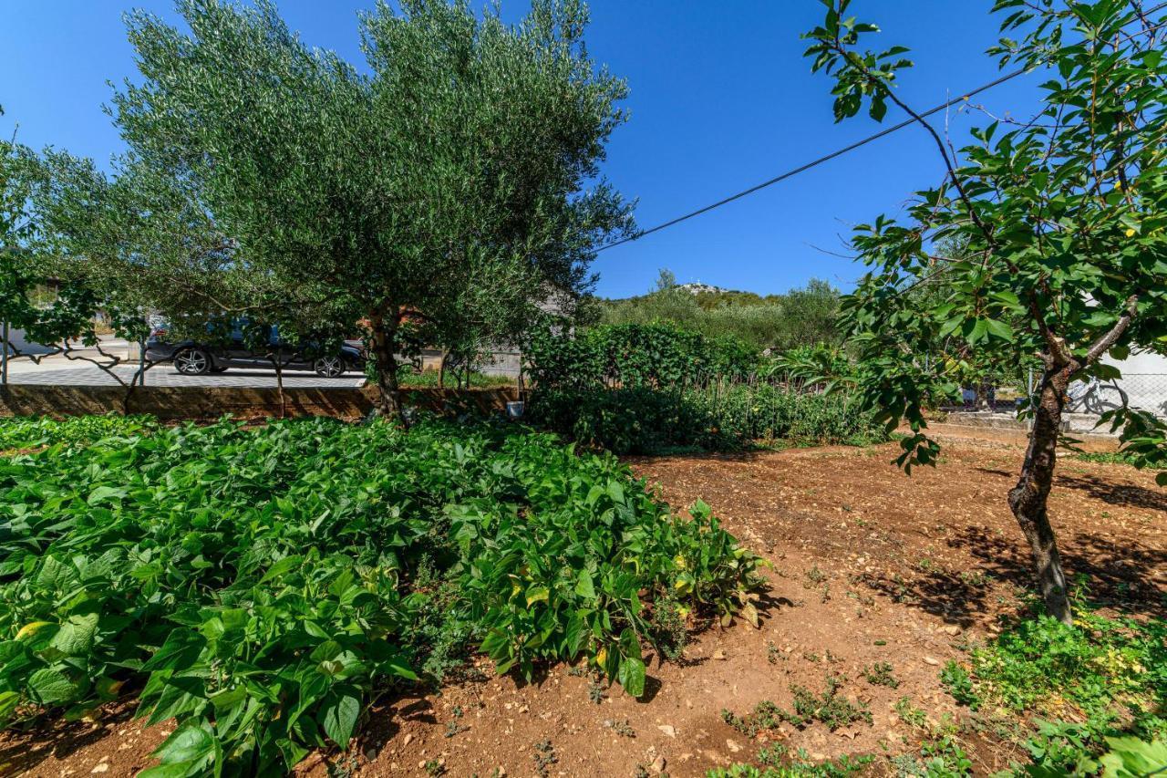 Apartman Maslina Šibenik Екстериор снимка